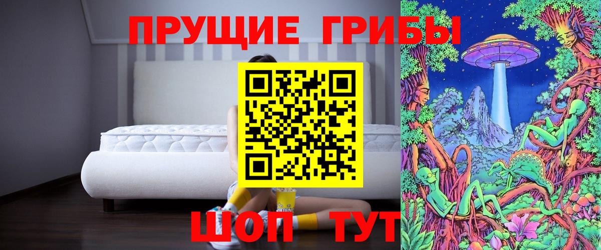 Кохма  Псилоцибиновые грибы Psilocybine cubensis  Вход с VPN  Галлюциногенные грибы Cubensis 