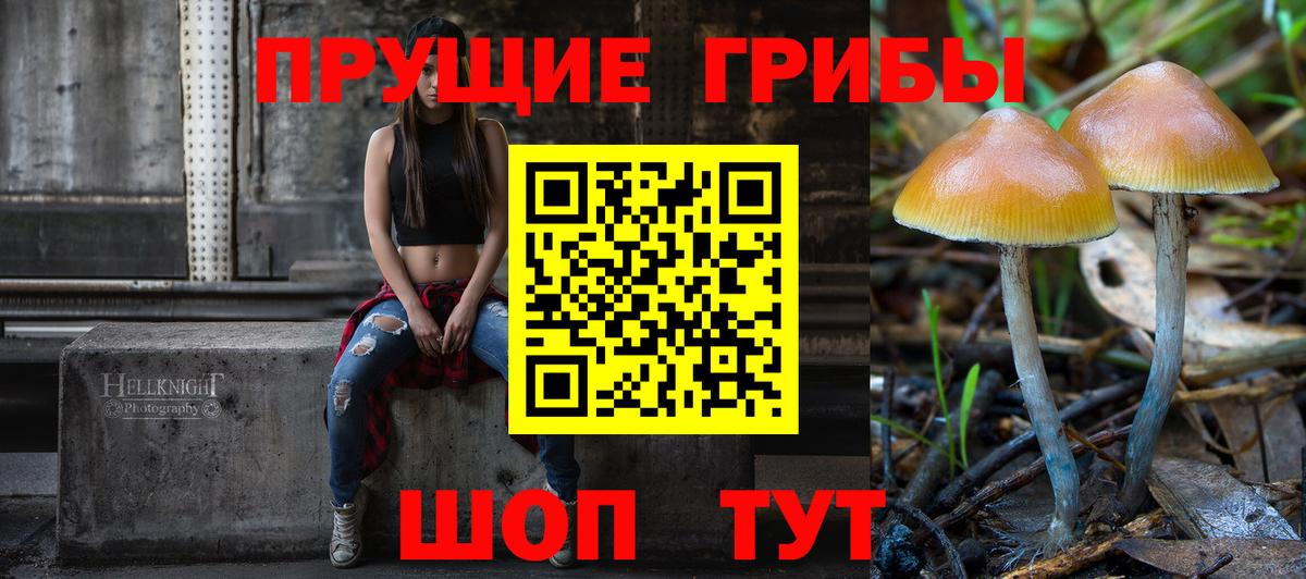 Галлюциногенные грибы мицелий Кохма