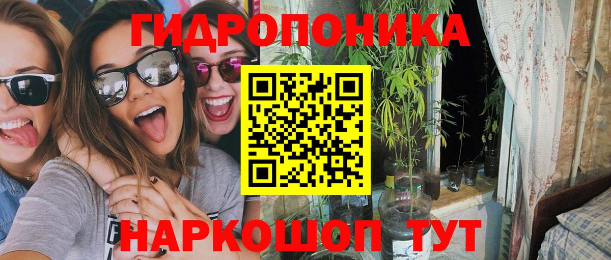 Марихуана планчик  Конопля ГИДРОПОН  Кохма  Вход с VPN  Канабис конопля 